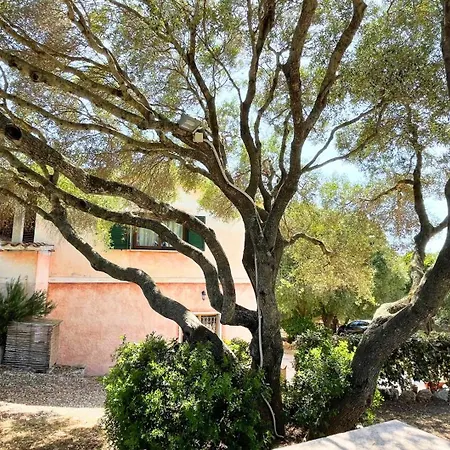 Immersi Nella Natura, Vicino Al Mare, Domo Sape