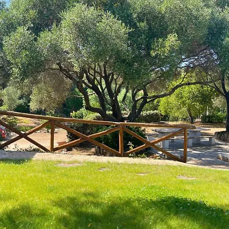 Immersi Nella Natura, Vicino Al Mare, Domo Sape