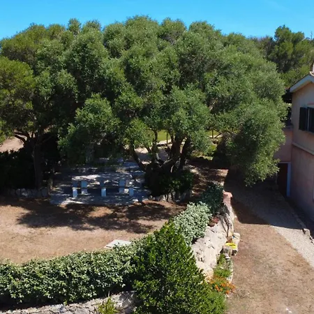 Immersi Nella Natura, Vicino Al Mare, Domo Sape Villa Porto Pollo