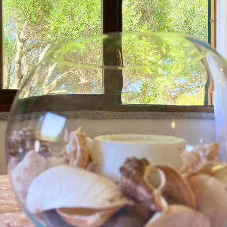 Immersi Nella Natura, Vicino Al Mare, Domo Sape Villa