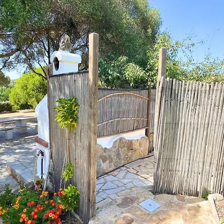 Immersi Nella Natura, Vicino Al Mare, Domo Sape