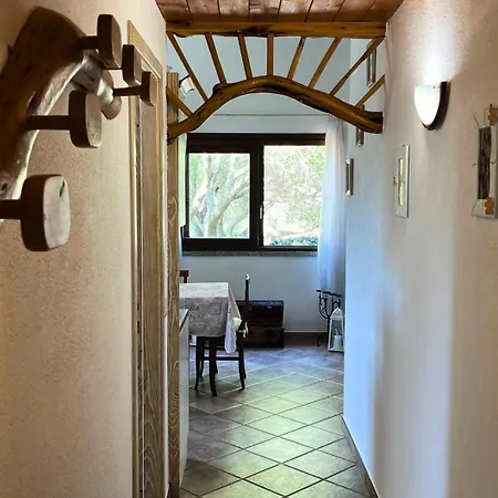 Immersi Nella Natura, Vicino Al Mare, Domo Sape