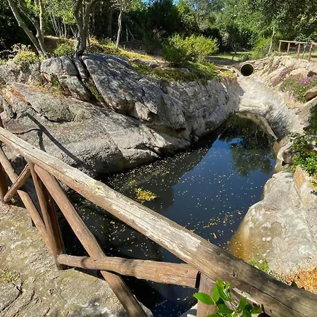 Immersi Nella Natura, Vicino Al Mare, Domo Sape *