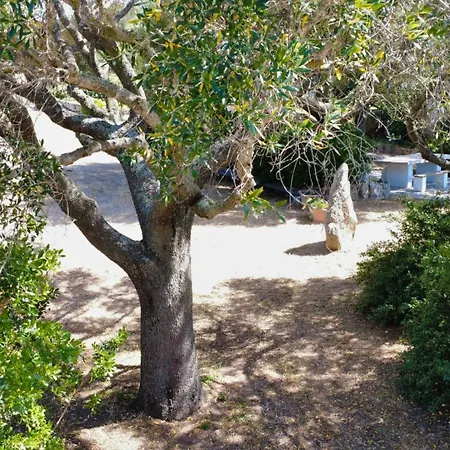 Immersi Nella Natura, Vicino Al Mare, Domo Sape