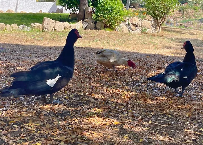 Villa Immersi Nella Natura, Vicino Al Mare, Domo Sape Porto Pollo