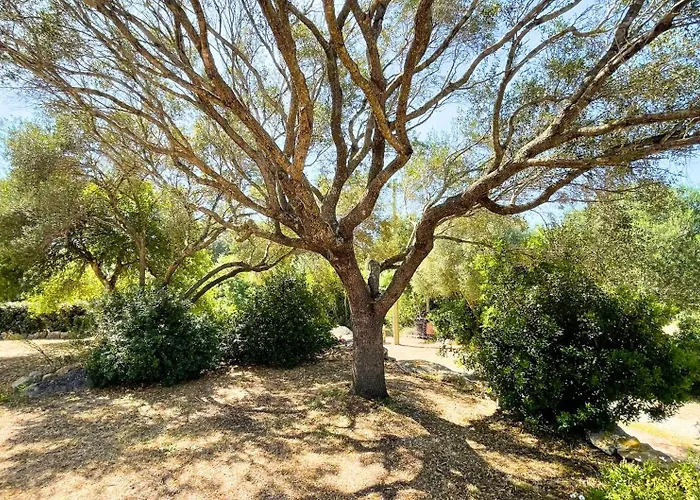 Immersi Nella Natura, Vicino Al Mare, Domo Sape