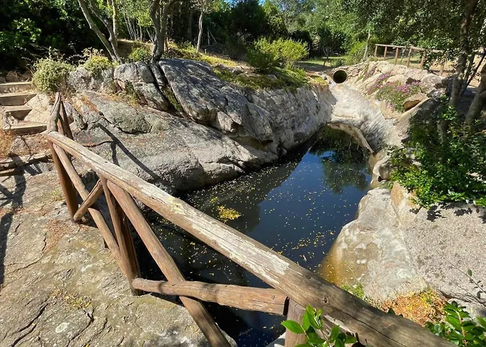 Immersi Nella Natura, Vicino Al Mare, Domo Sape *